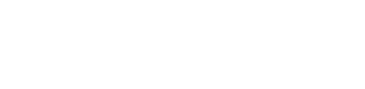お知らせ&レポート